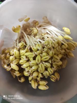 造个神器自发黄豆芽的做法 步骤3