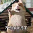 未什么-