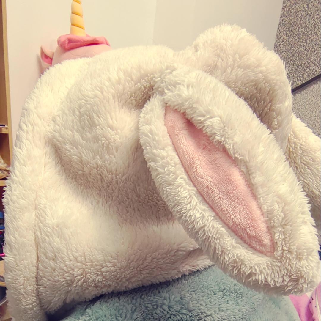 猫头鹰不会做饭