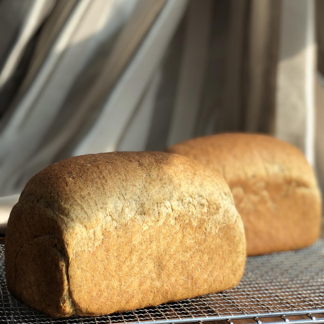 llllllllxxx做的海苔咸方包