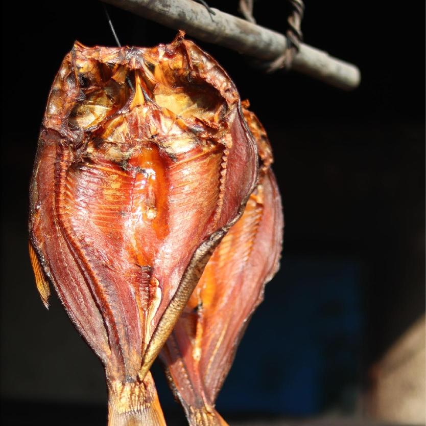 腊鱼和腊肉的腌制