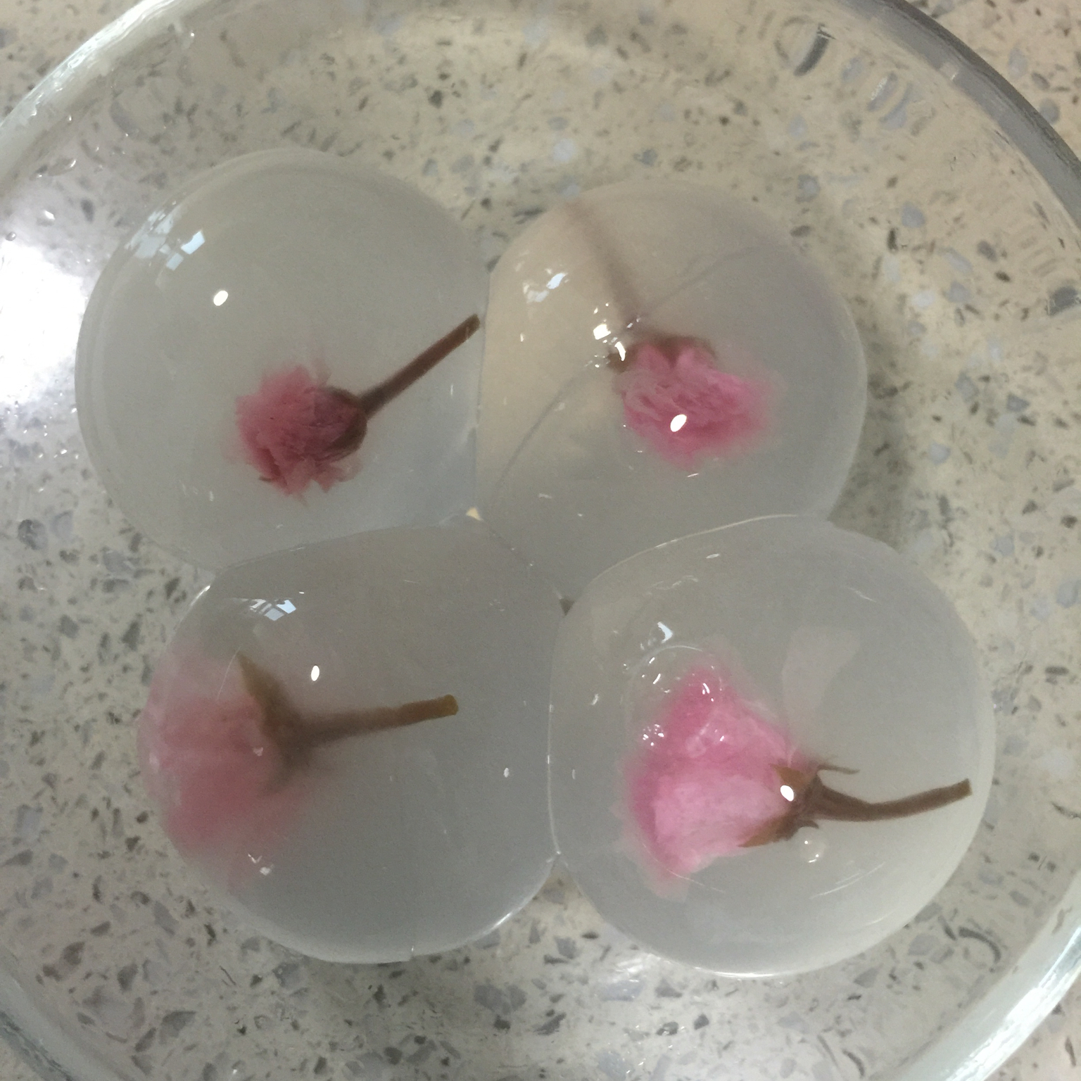 樱花水信玄饼