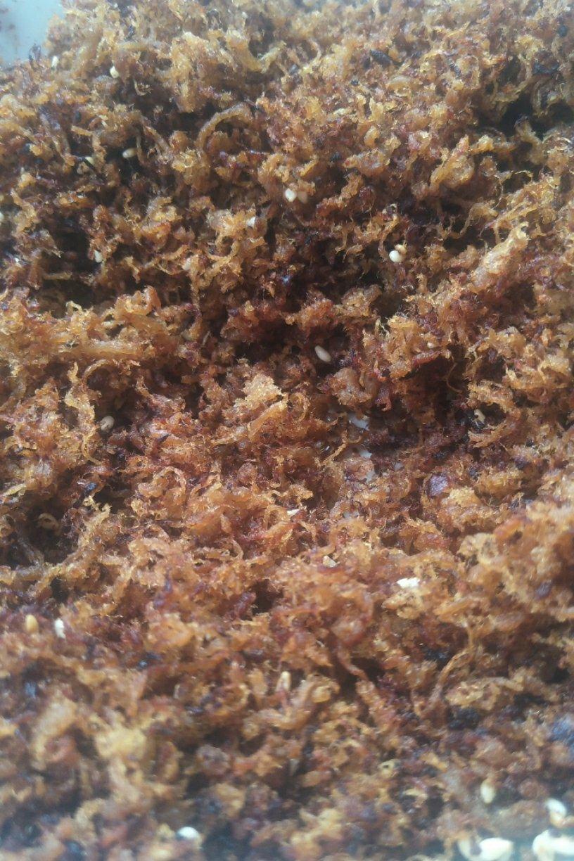 自制肉松（附快速撕肉方法）