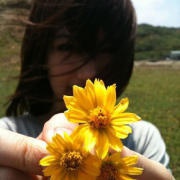 我亲爱的_柠檬绿茶