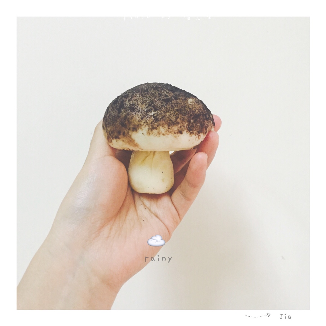 蘑菇包