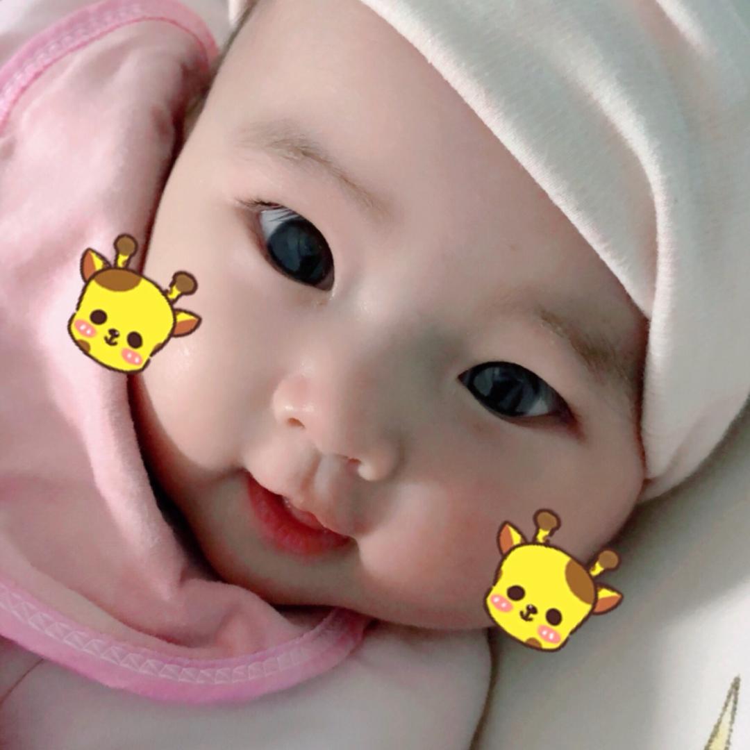 可可可莹