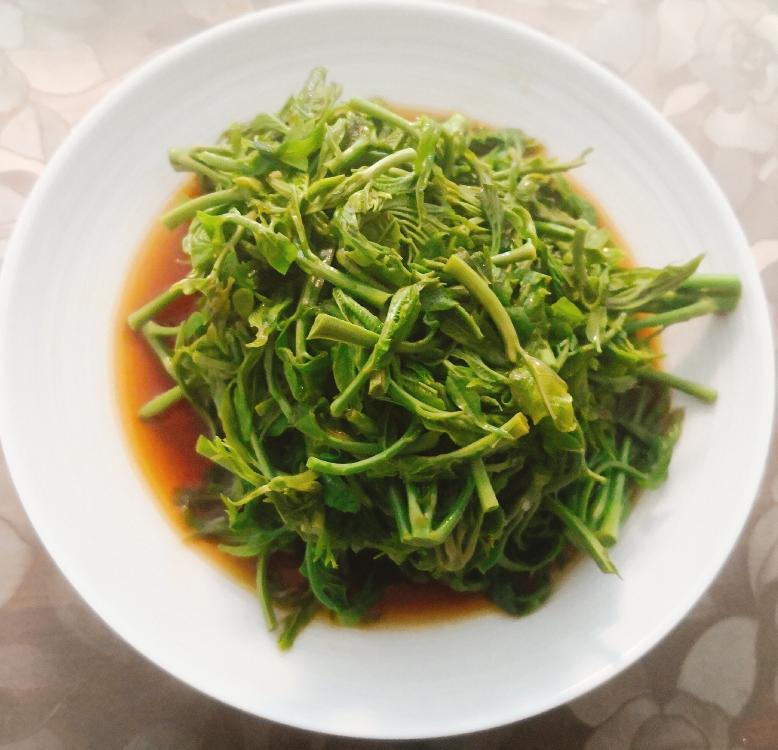 香椿芽不炒蛋直接拌——回归原始的味道