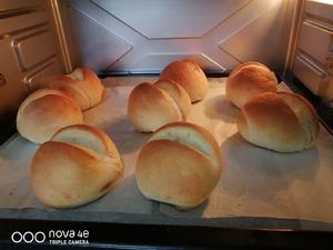 德国小面包                    （无油无糖）的做法 步骤7