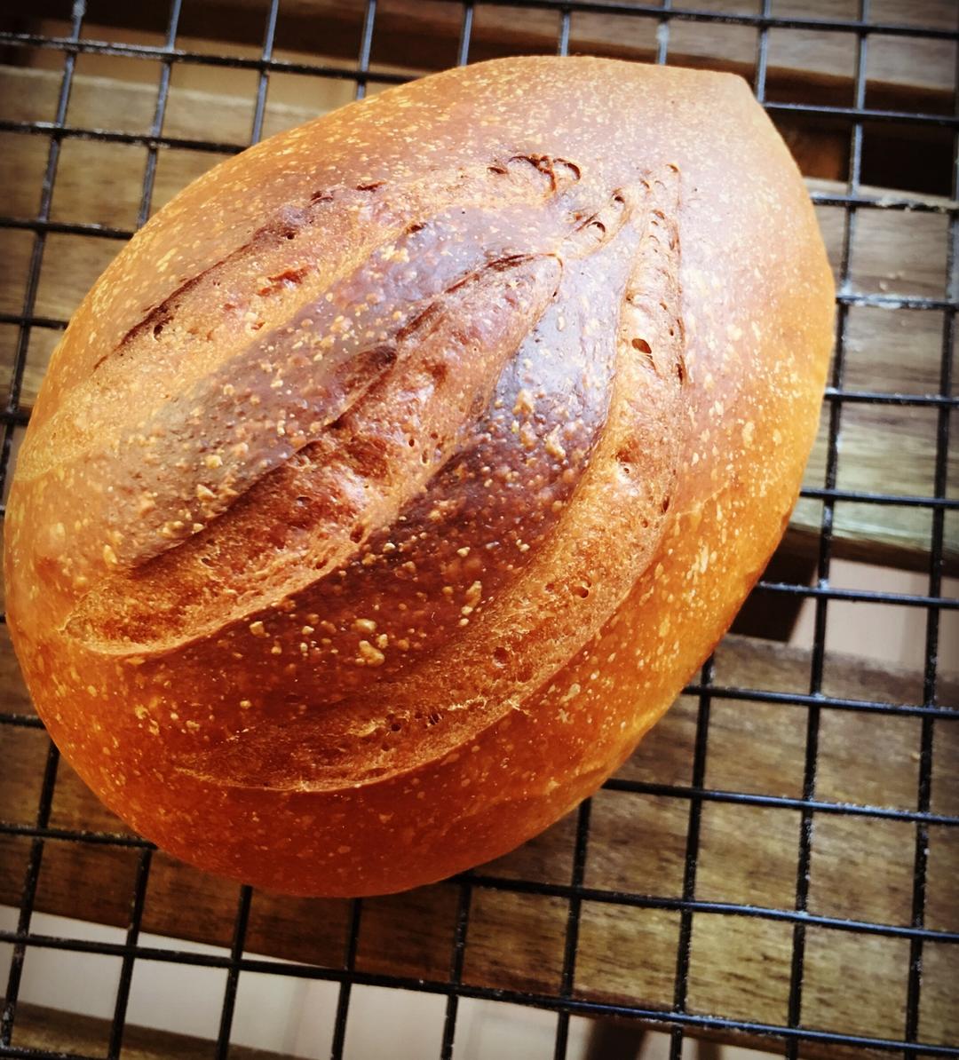 一丝凛冽 性感威士忌软欧