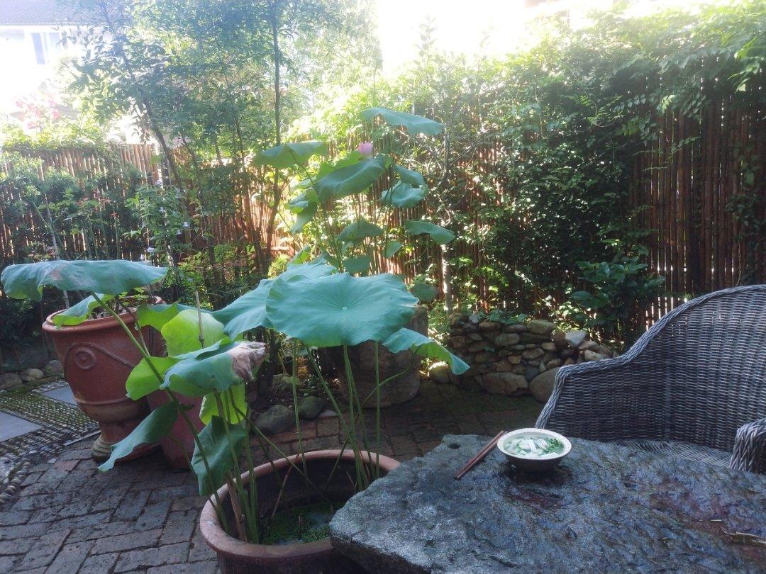 我一直梦想的田园的早餐