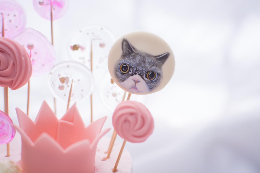 皮皮宠物生日蛋糕