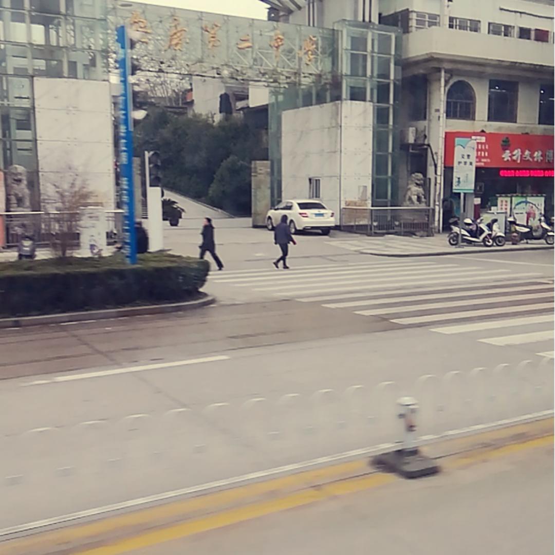 羊羊1111