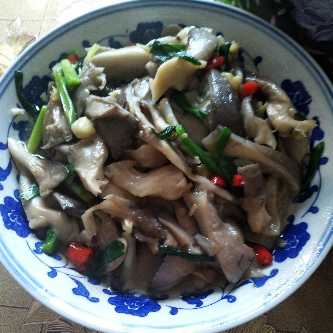 素炒平菇