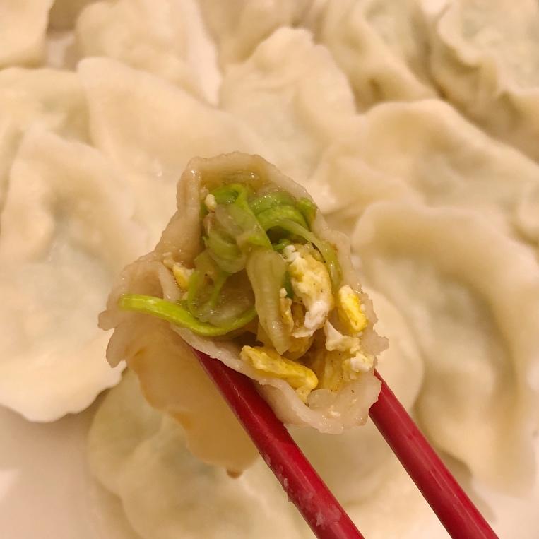 家常饺子西葫芦鸡蛋饺子（含陷和饺子皮）的做法