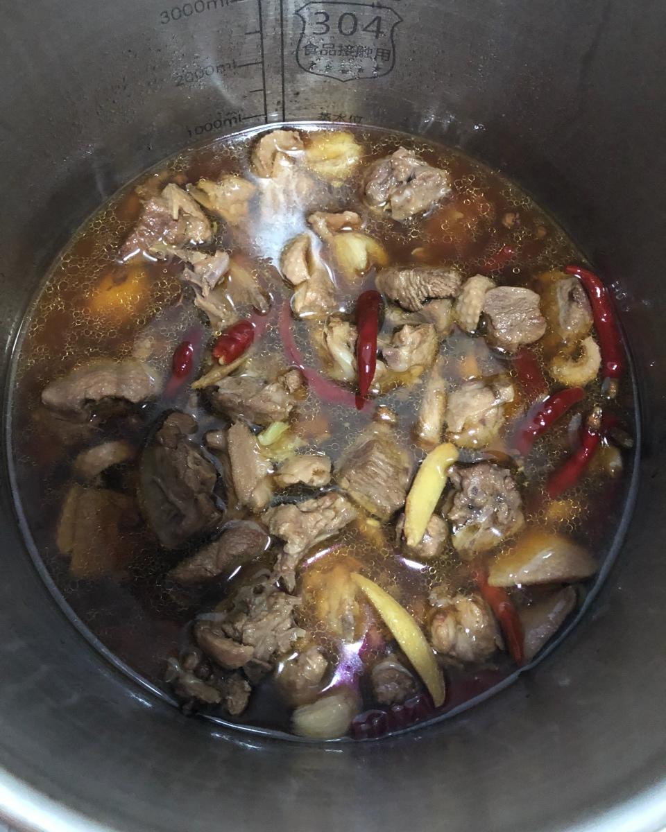 简单美味的啤酒炖鸭