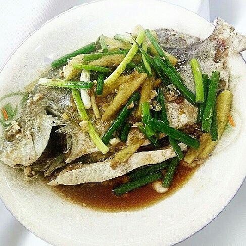 canhinten做的清蒸金鼓鱼
