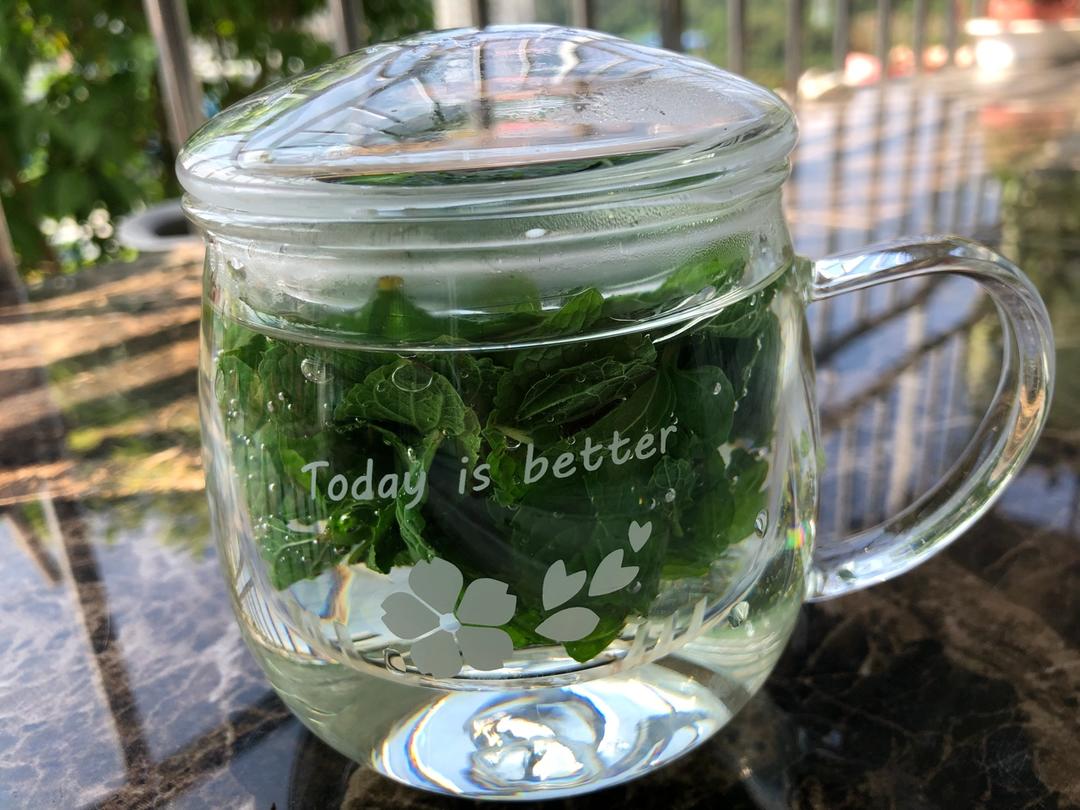 雨后and晴天与彩虹做的蜂蜜薄荷茶