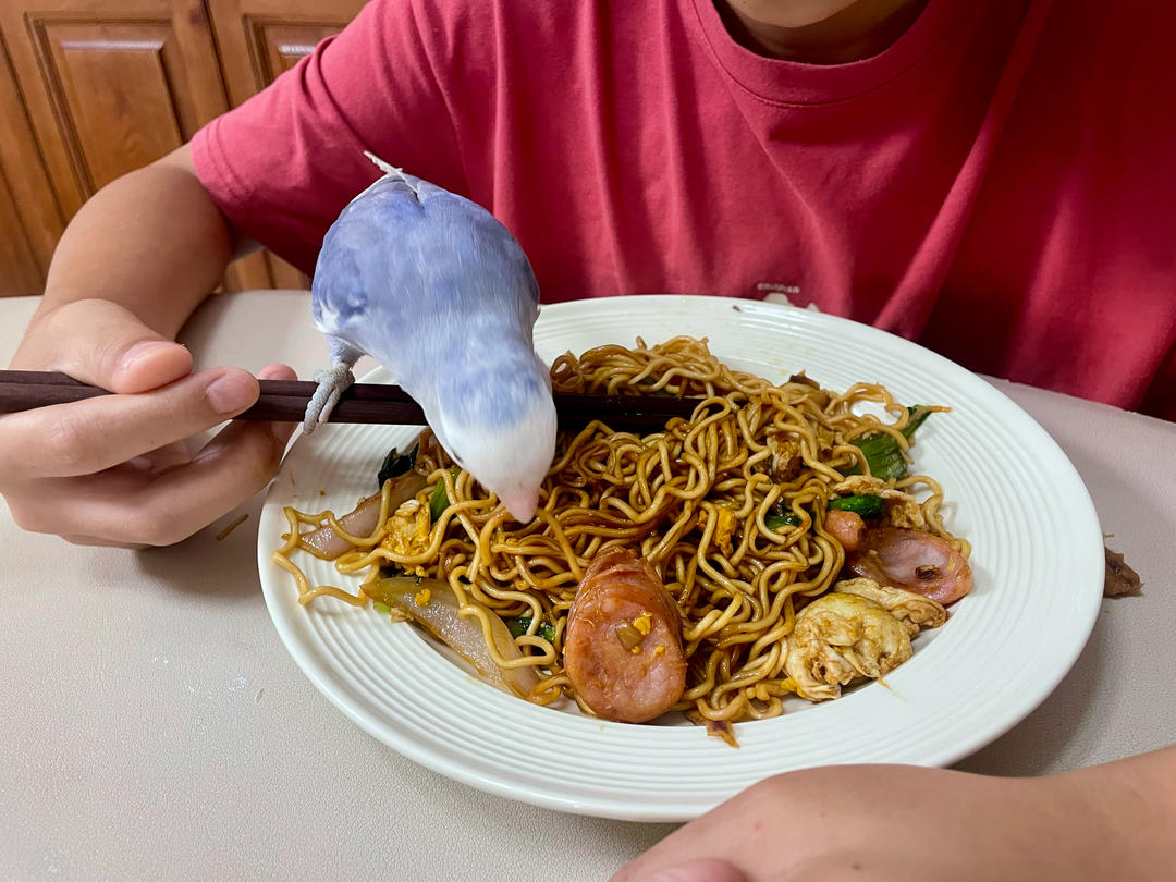 秒杀路边摊的炒方便面