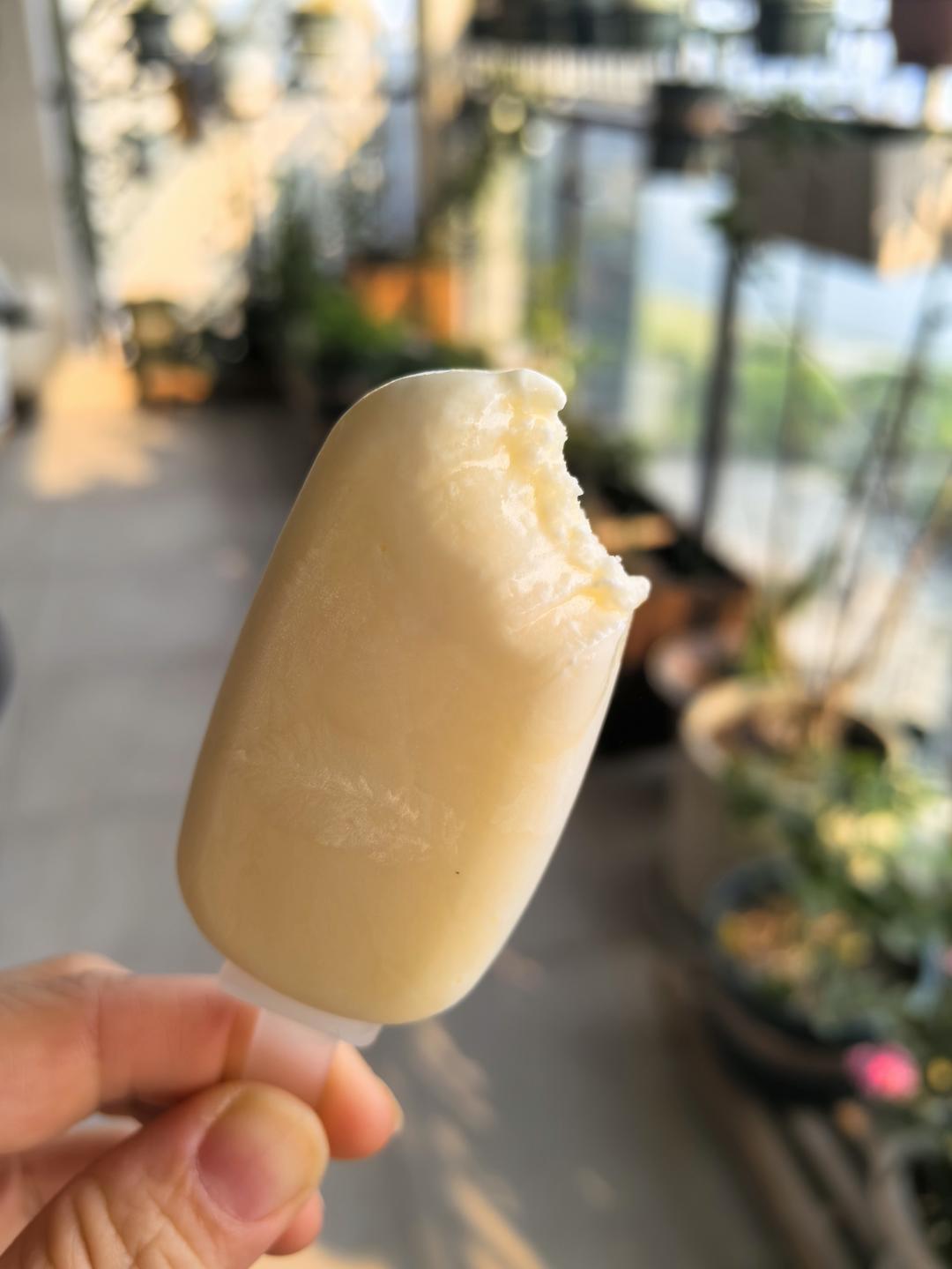 💯无冰渣‼️一次成功香浓丝滑的奶香小布丁雪糕‼️
