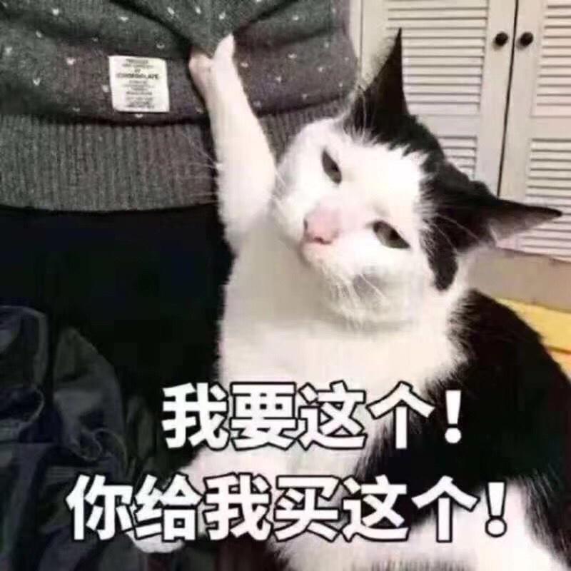 夏芝岚