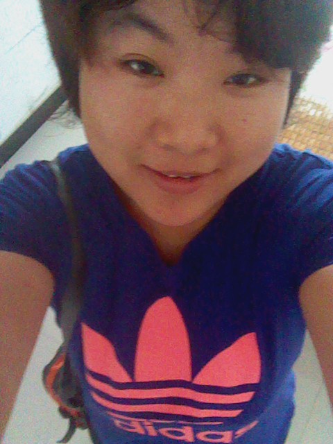 梧桐花香柳絮飞