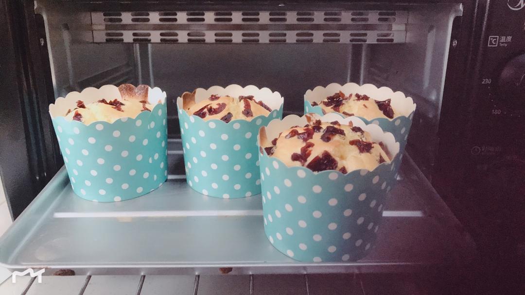 不会回缩的纸杯蛋糕--海氏烤箱定制