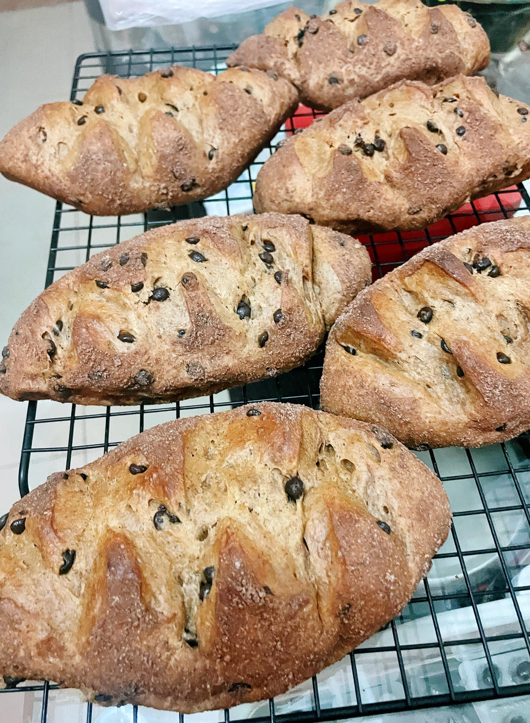 超浓郁、巨好吃~咖啡巧克力软欧