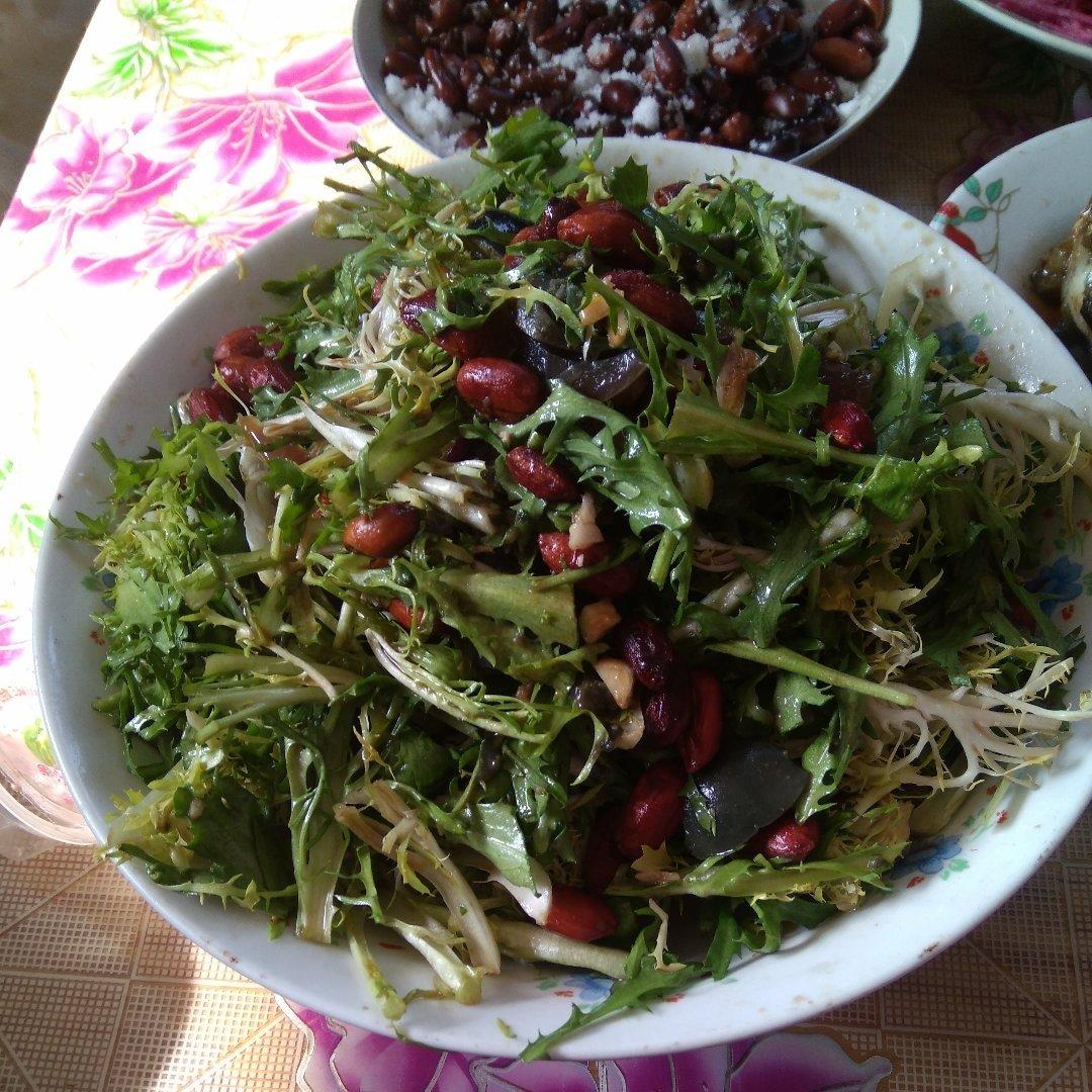凉拌苦菊