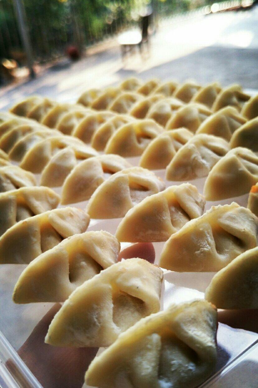 宝宝鲜肉时蔬小饺子的全部作品