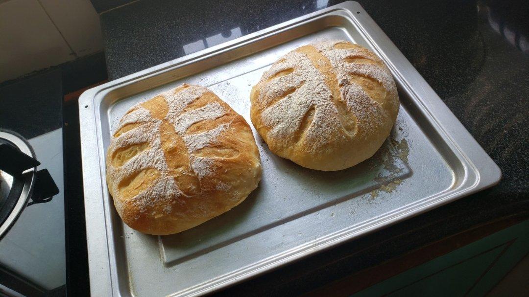 🍞免揉欧包新手入门指南（冷藏发酵、无油无糖）