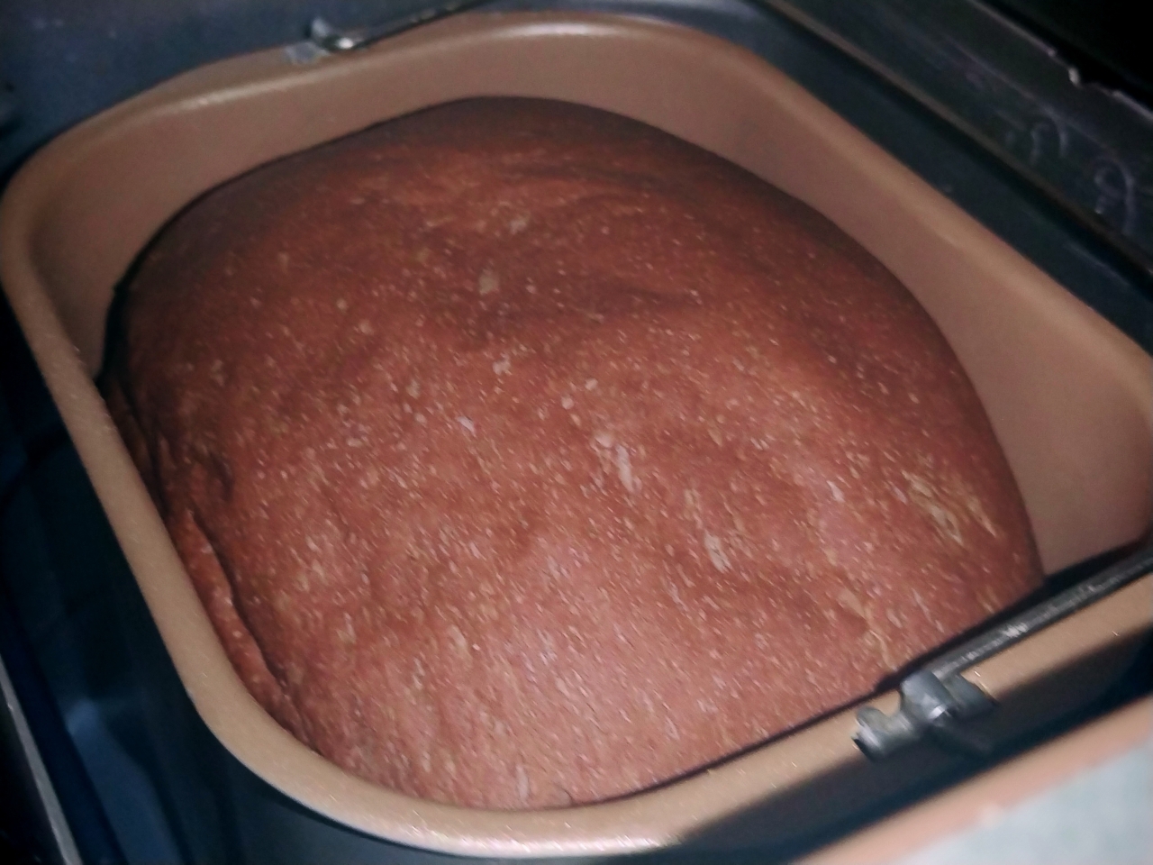 全麦红糖杏仁可可面包（面包机版）的做法