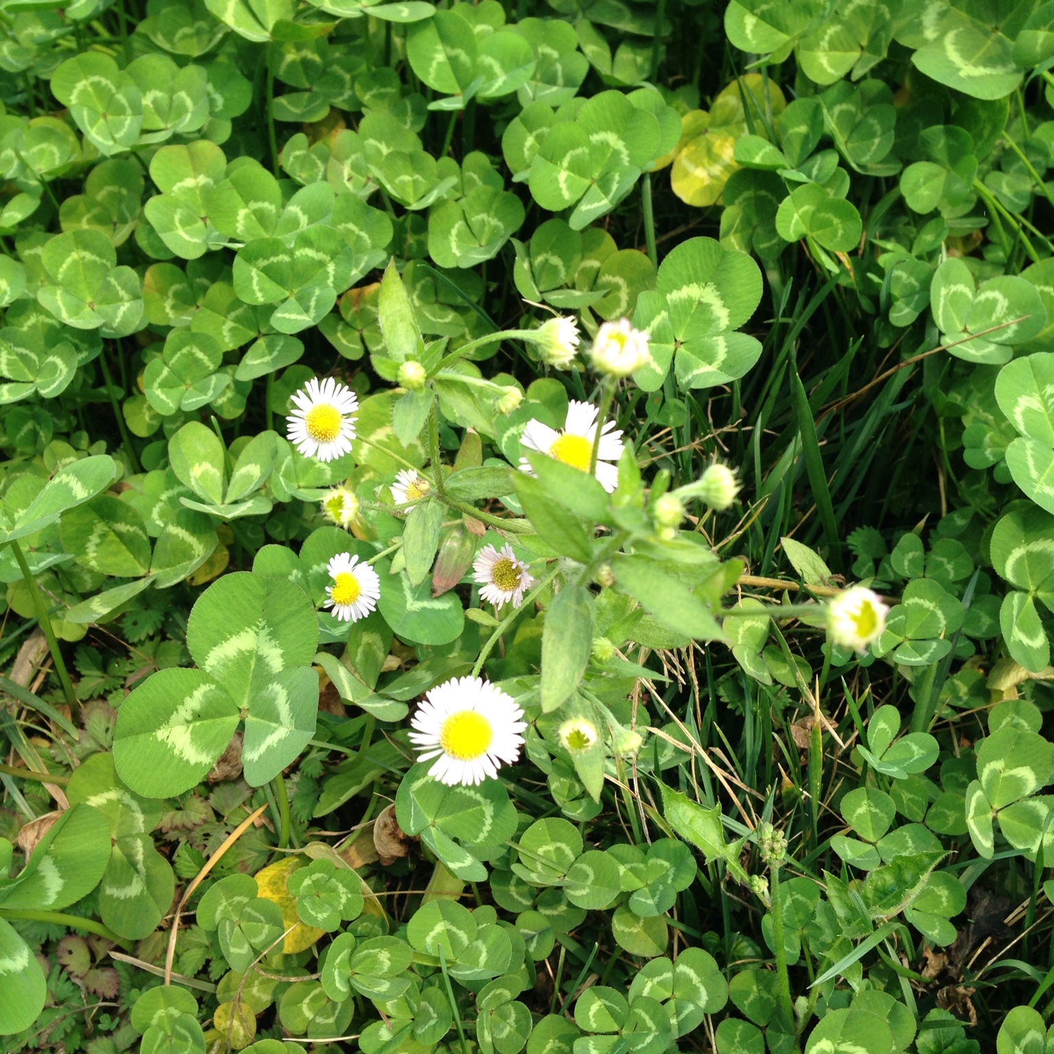 手机用户3655_3jxg