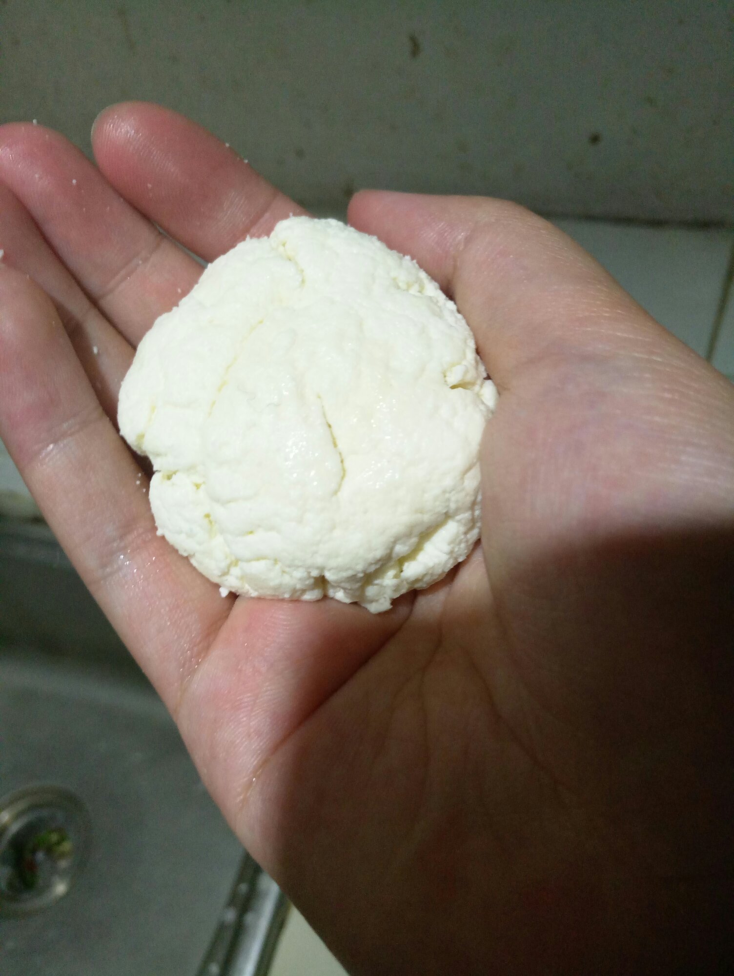 中国的奶酪--DIY牛奶乳饼