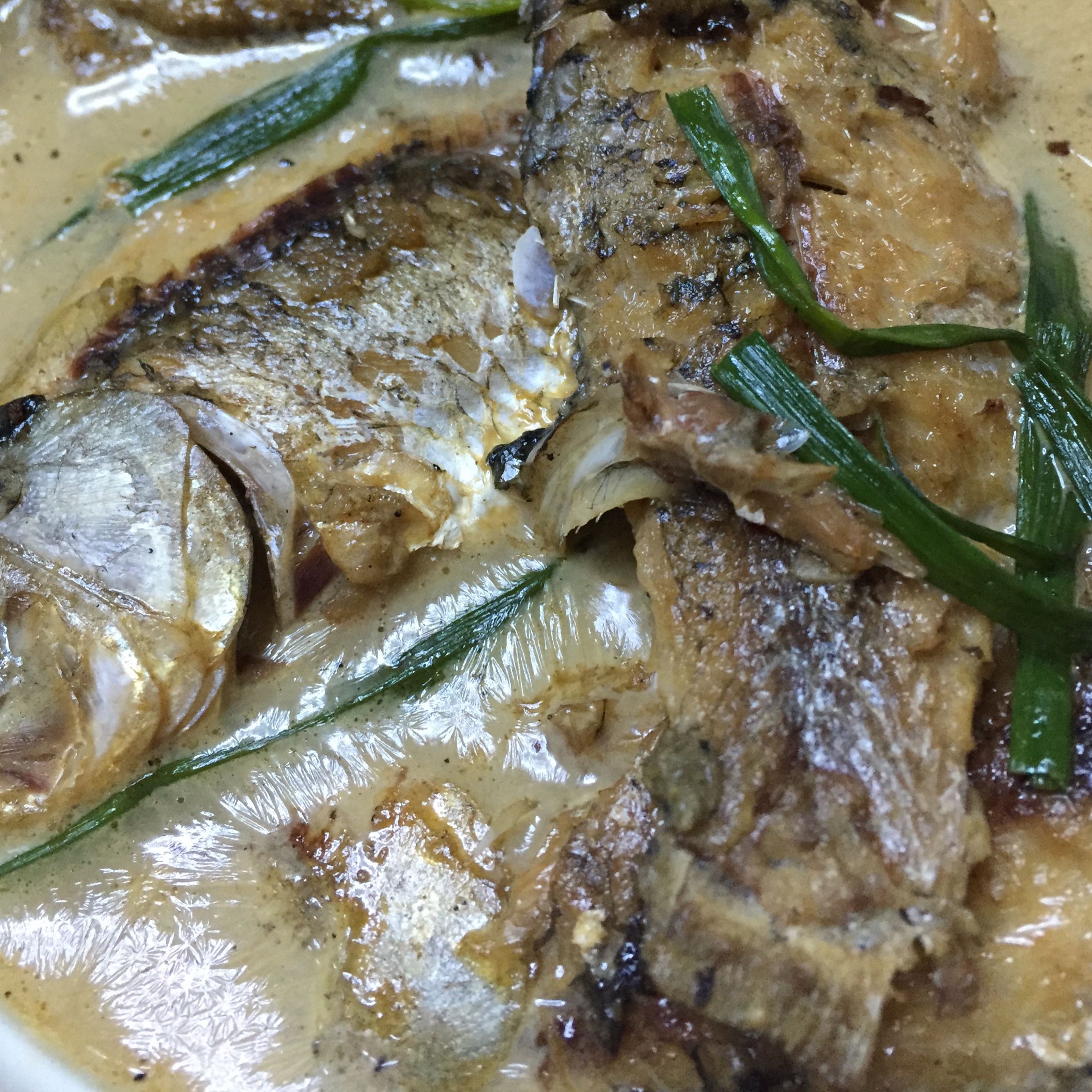 葱烤河鲫鱼