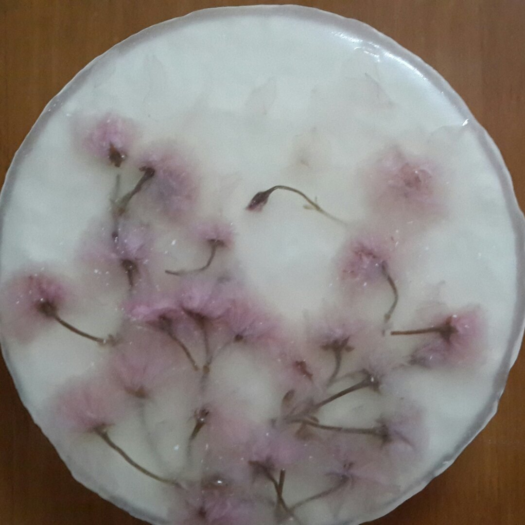 樱花酸奶慕斯蛋糕（免烤）