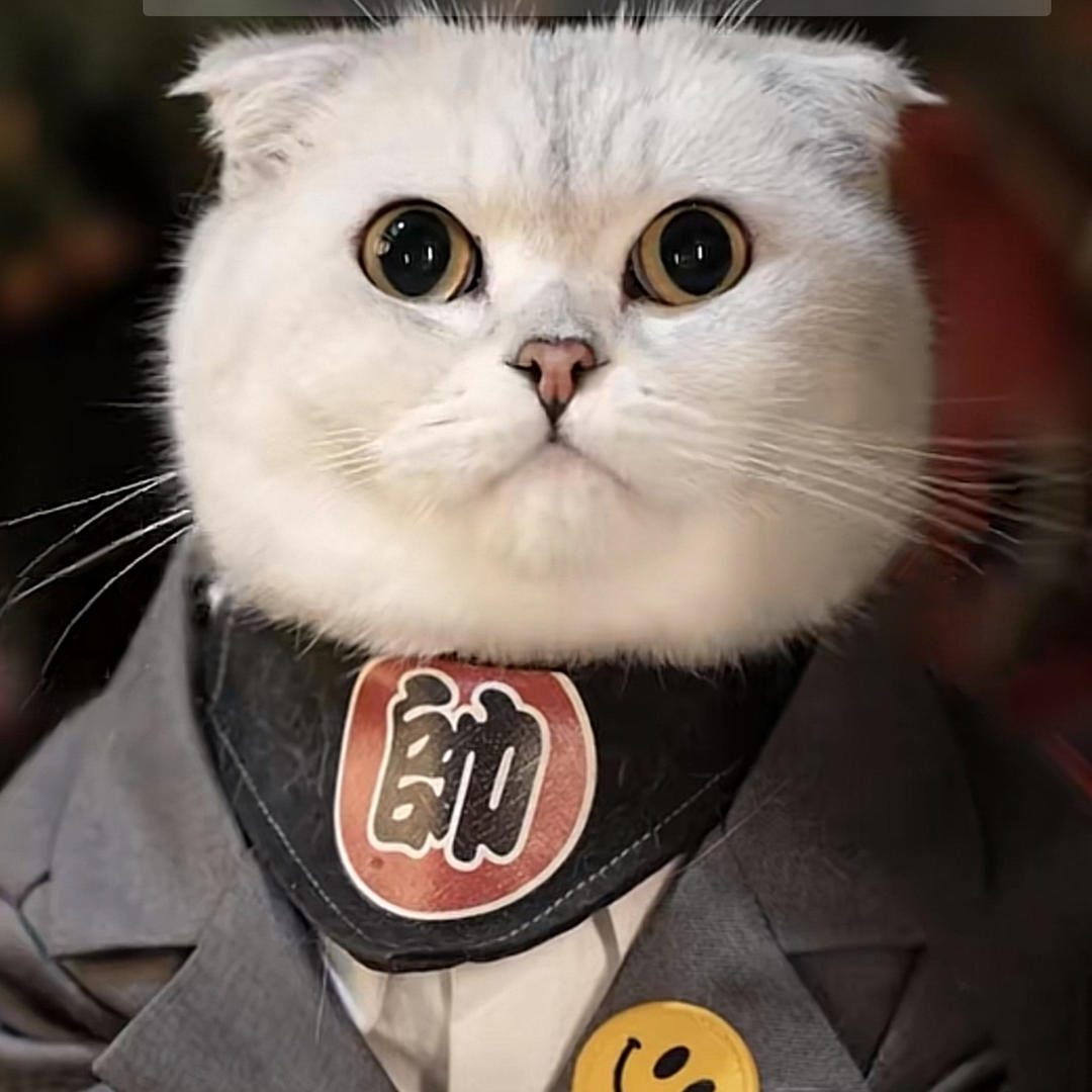 徐氏安然
