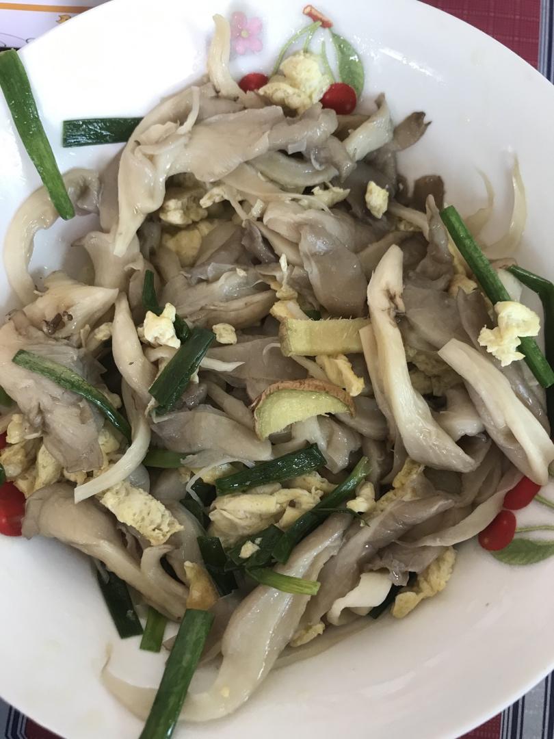 平菇青椒炒鸡蛋 好吃又营养的超快手家常菜