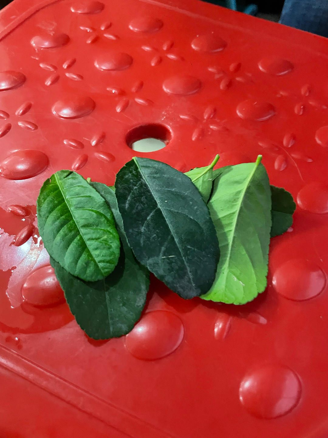 超好喝的泰式冬阴功海鲜汤的做法 步骤2