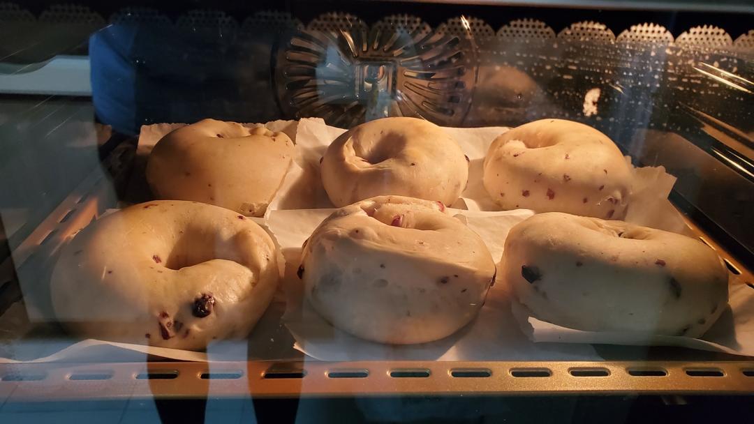 蔓越莓贝果🥯轻松实现贝果自由