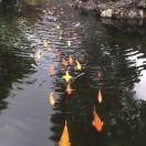 手机用户6975_hfga