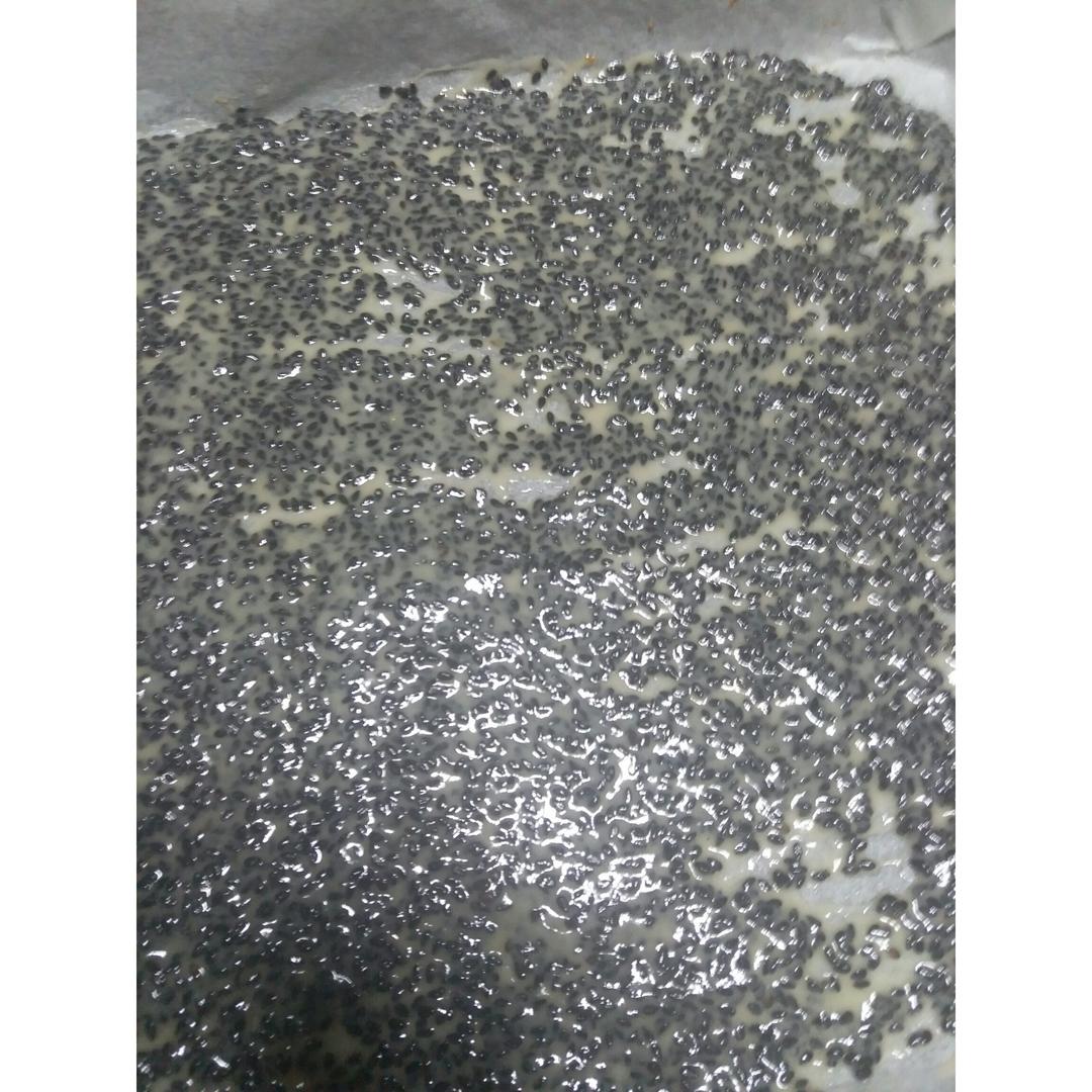 芝麻脆饼 饼干