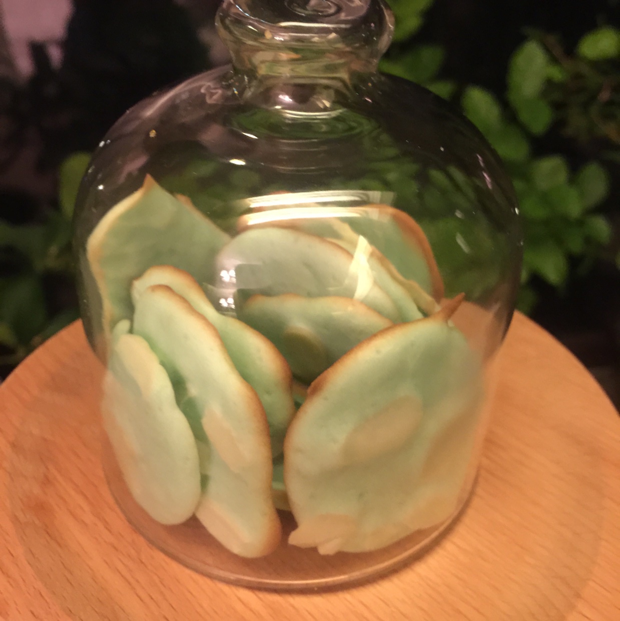 蛋白瓦片