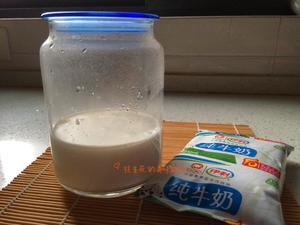 雪莲菌酸奶的做法 步骤4
