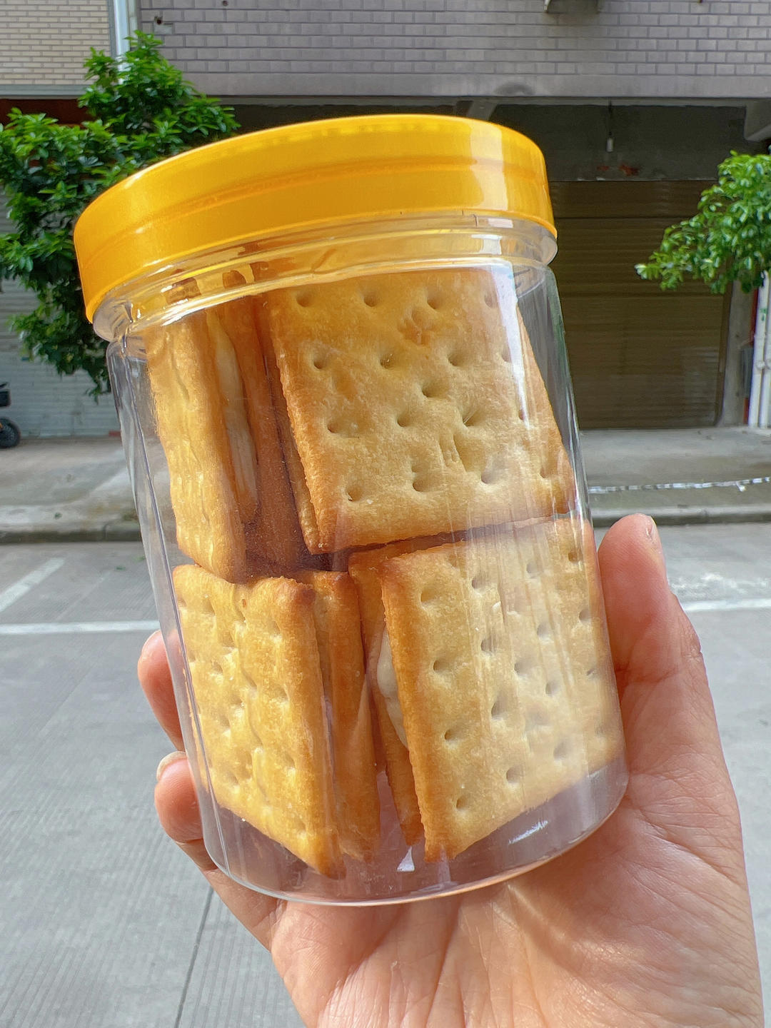 蔓越梅牛轧糖饼干（快手棉花糖苏打饼干版）