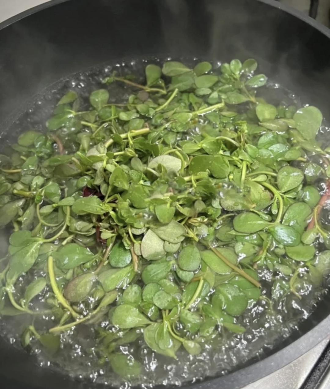 马齿苋新吃法，肉馅饺子，好吃又解馋的做法 步骤3