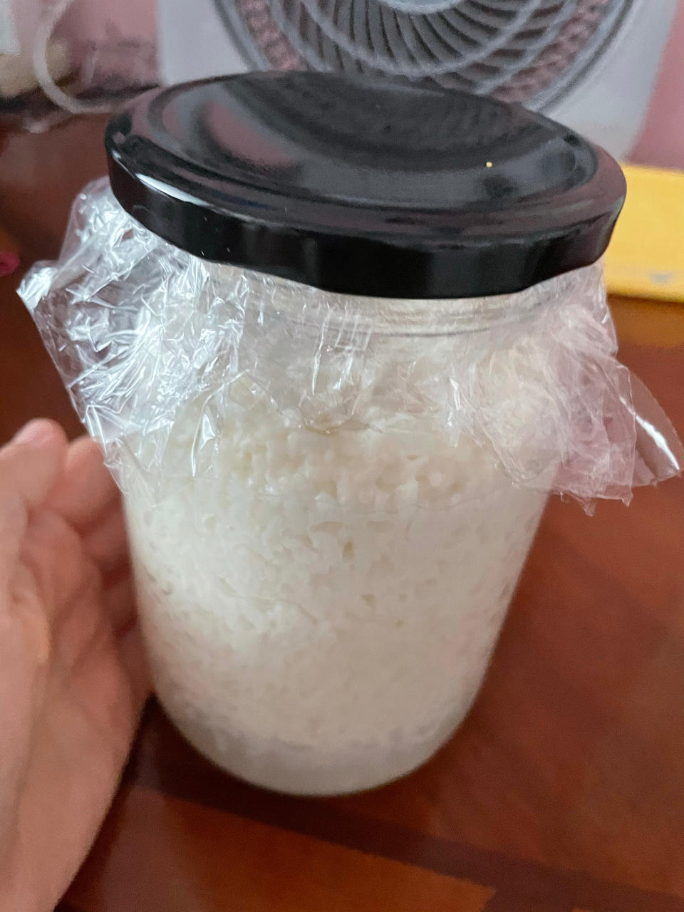 6分钟自制米酒【省事米酒最简易的打开方式】ヽ(•̀ω•́ )ゝ自制酒糟.醪糟.酒酿