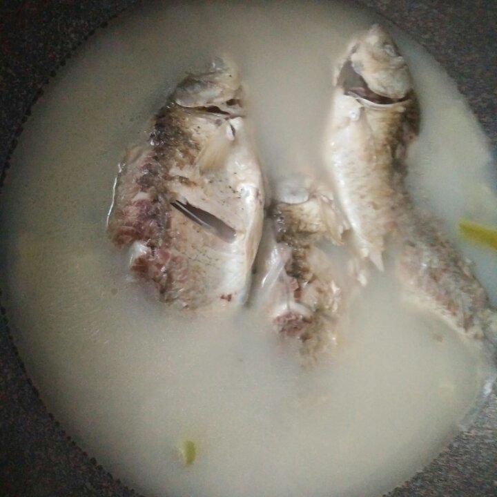 如何熬出奶白色鲜美鲫鱼汤