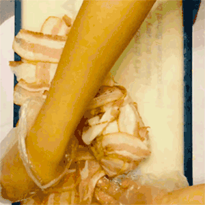 SHOKUGEKI之一口入魂烤肉卷的做法 步骤13
