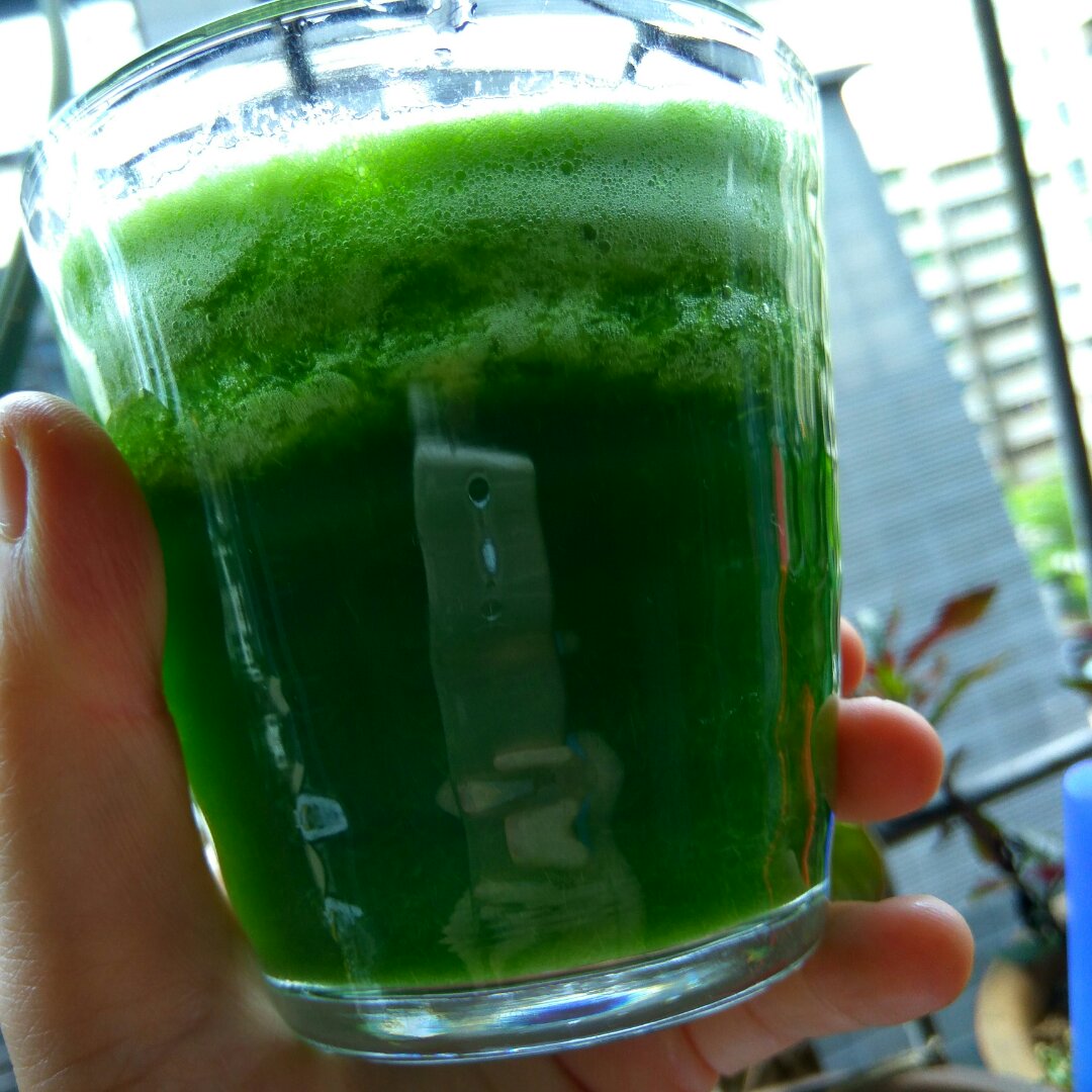 清爽小麦草汁(附小麦草土培种植方法)