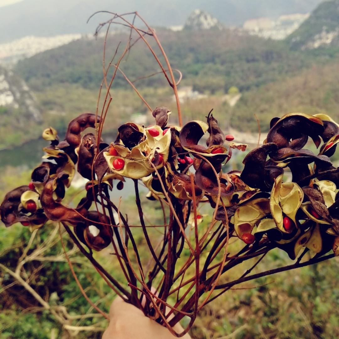 静静的顿河-2